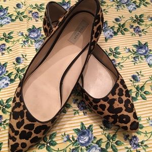 Cole Haan Heidy Point Calf Hair Leopard